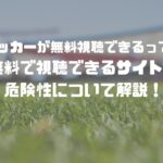 海外のサッカーが無料視聴できるって本当？！無料で視聴できるサイトと危険性について解説！