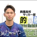 【高校サッカー】的羽航人 (18=興國高校)　インターハイは初出場 高校日本一のキャプテンへ！【あすリートチャンネル】