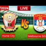 Hume City vs. Melbourne Srbija | Australia Cup Live Match Score Today 2024