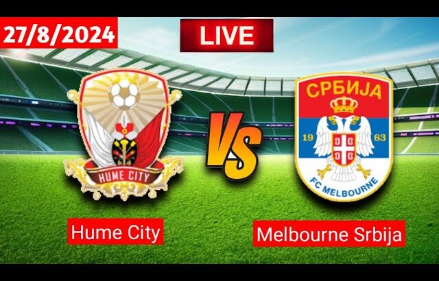 Hume City vs. Melbourne Srbija | Australia Cup Live Match Score Today 2024