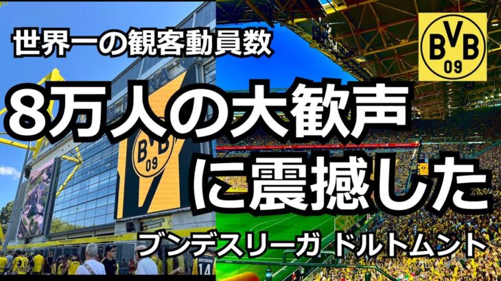 ドルトムント(BVB)観戦!! 世界一の観客動員数に感動 【サッカー本場ブンデスリーガ】