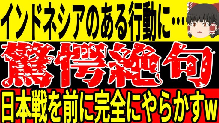 【サッカー日本代表】11月の最終予選を前にインドネシアが大量帰化選手招集以上にヤバい行動に！？そしてサウジアラビアでも監督退任によって嬉しい事態発生？【ゆっくりサッカー】