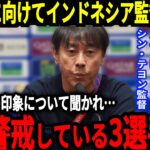 【サッカー日本代表】シン・テヨン監督が日本代表戦を前に警戒するコメント、そしてインドネシアではある日本の3選手をピックアップしまさかの称賛する事態に…【海外の反応】