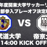 2024年度 関東大学サッカーリーグ戦 3部参入プレーオフ決定戦 国際武道大学vs帝京大学