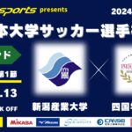 MCCスポーツpresents 2024年度 第73回 全日本大学サッカー選手権大会 強化ラウンド グループ1 第1節 新潟産業大学vs四国学院大学