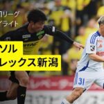 【柏レイソル×アルビレックス新潟｜ハイライト】 2025明治安田J1リーグ第12節｜2025シーズン｜Jリーグ