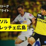 【柏レイソル×サンフレッチェ広島｜ハイライト】 2025明治安田J1リーグ第31節｜2025シーズン｜Jリーグ