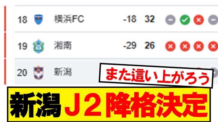 【速報】アルビレックス新潟、J2リーグ降格決定
