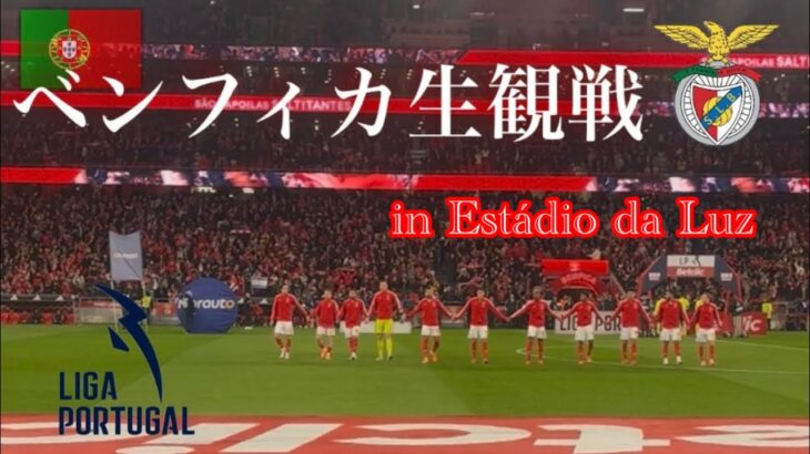 【海外サッカー現地観戦vlog】　ポルトガルの強豪、ベンフィカを生で観てきた。