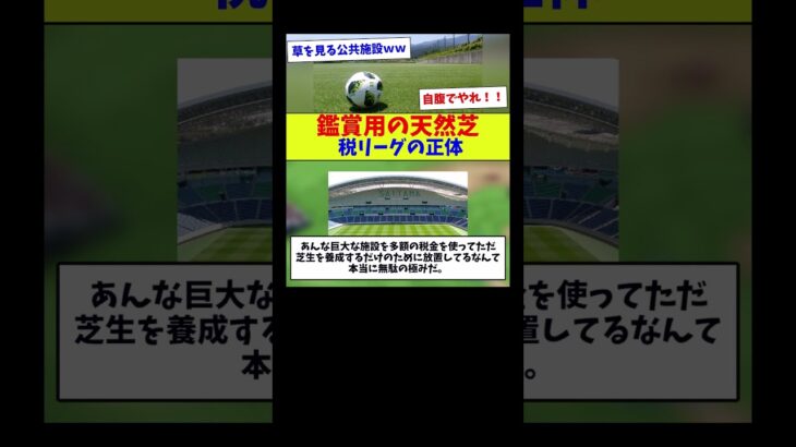 【使い物にならない芝をどうするか】鑑賞用の天然芝税リーグの正体【サッカー】【Jリーグ】【サッカー情報】【2ch 5ch】【なんJ なんG反応】【サッカースレ】