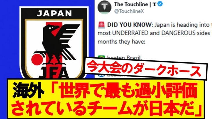 【海外の反応】森保ジャパンに対する海外サッカーファンのリアルな評価がこちらです