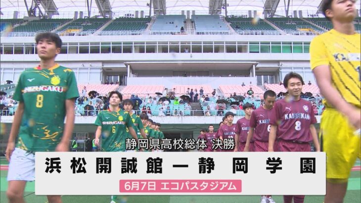 【静岡県高校総体サッカー男子 決勝ハイライト】