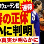サッカー日本代表･スウェーデン戦、全世界が激怒した主審の”隠された経歴”がとんでもなかった…