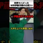 W杯伊藤洋輝のブラジルファン
